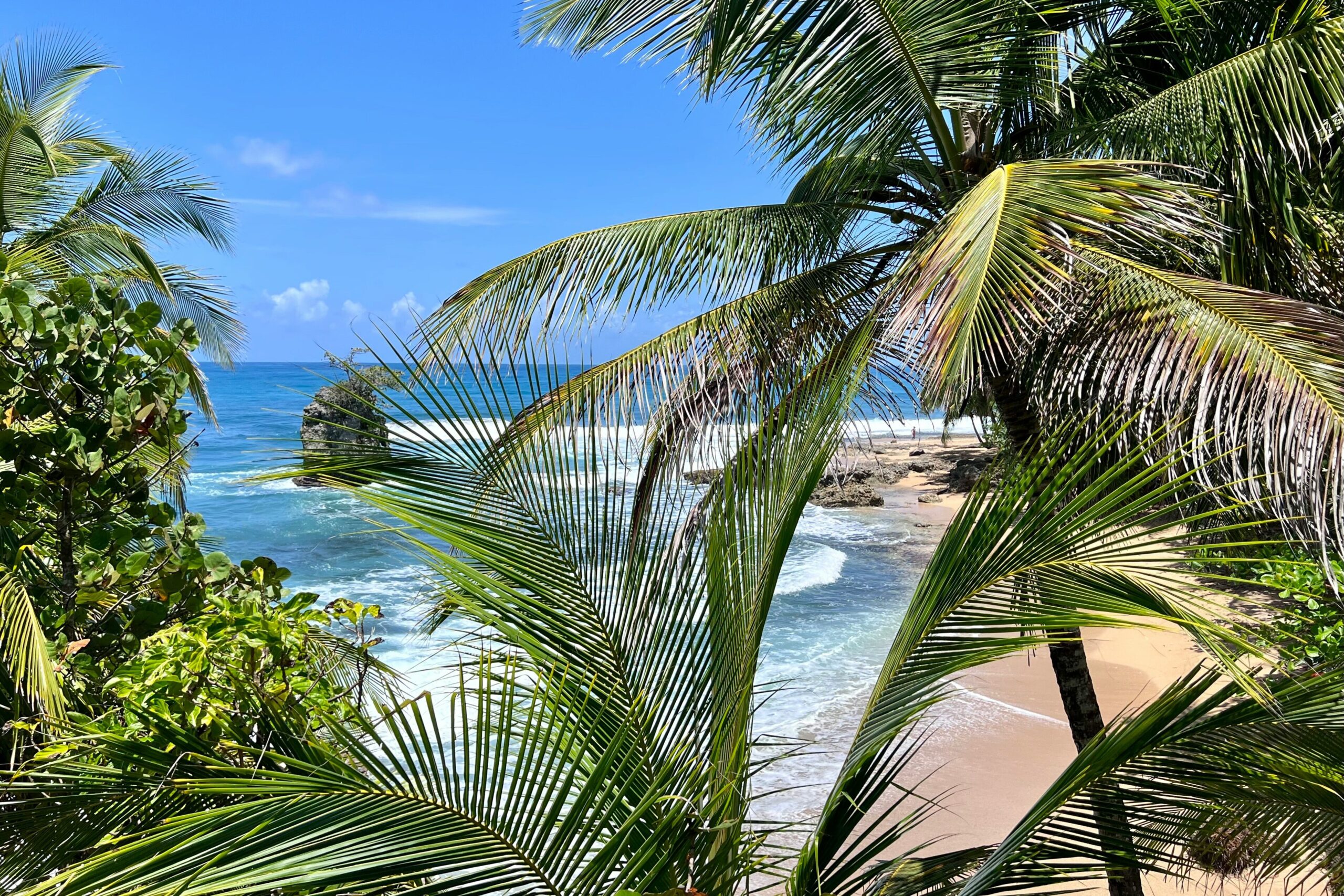 Travel Spotlight: Caribbean Costa Rica